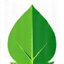 Ícone de folha verde